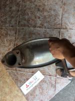 Ống xả đoạn cuối xe mitsubishi Grandis chính hãng